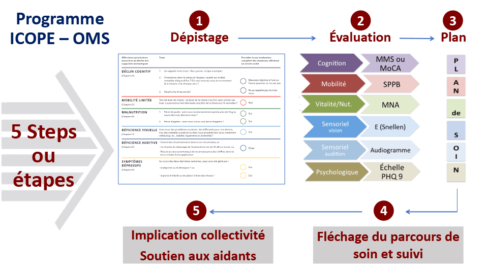 ICOPE - figure 1