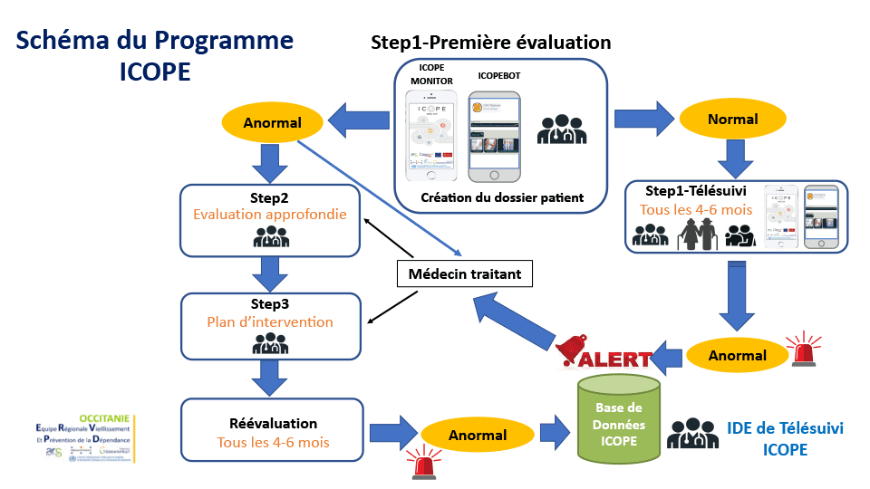 ICOPE - Figure 2