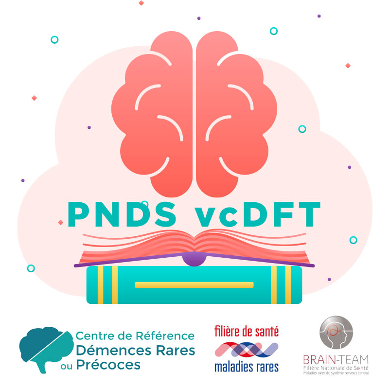 PNDS vcDFT