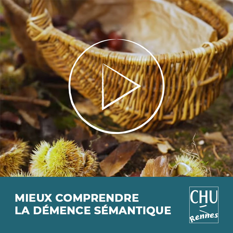 Mieux comprendre la démence sémantique